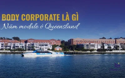 Body corporate là gì: 5 module và ai quyết gì 2026